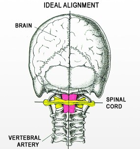 head alignment